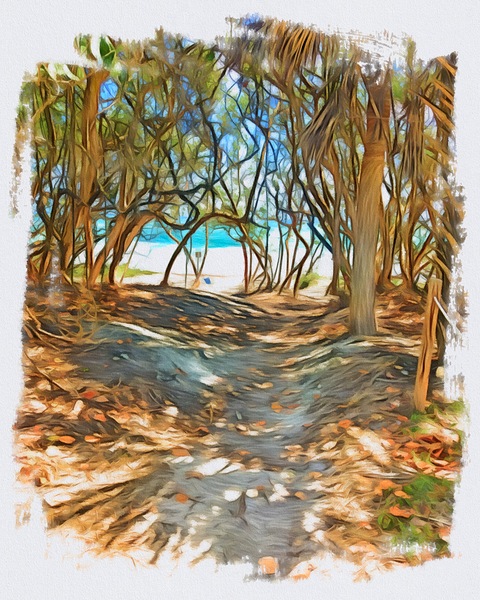 Beach Access 41 by JANIce