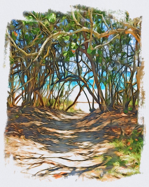 Beach Access 42 Digital Download