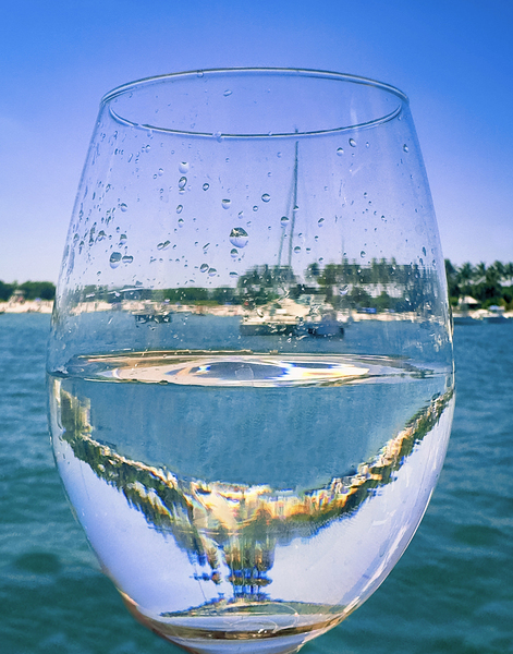 Wine Glass Reflection Digital Download