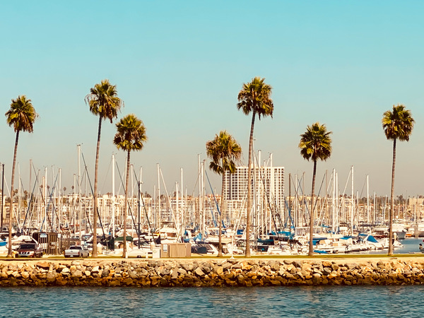 Cali by JANIce