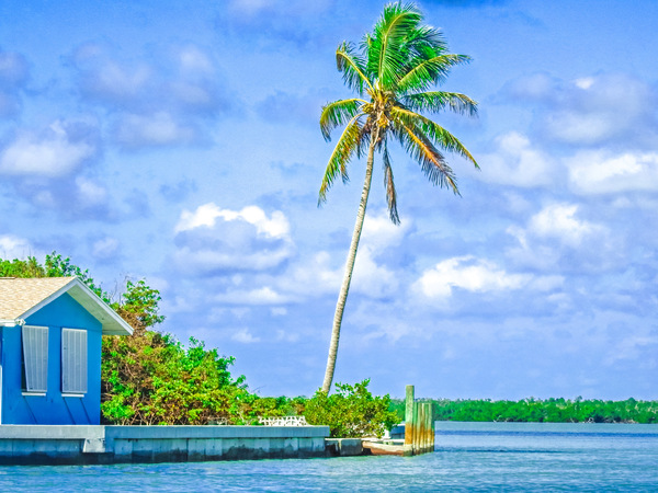 Marco Island Digital Download
