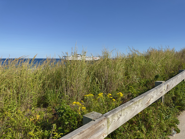 Marthas Vineyard Ferry Digital Download