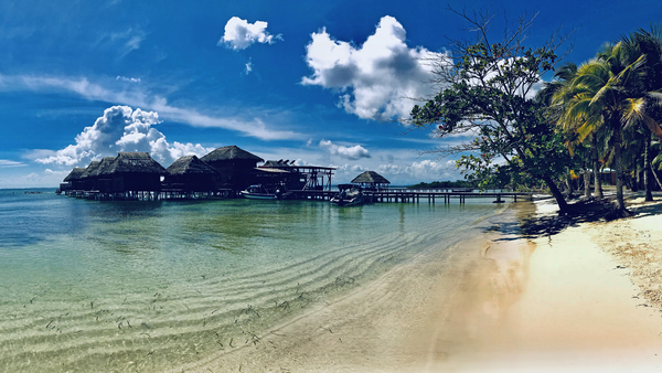 Panama Tiki Hut-Water Bungalows VI by JANIce