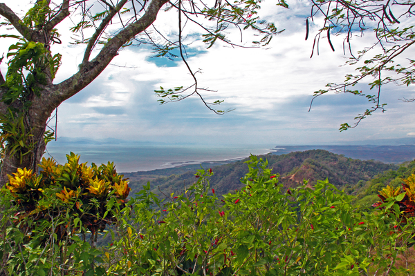 Costa Rica Digital Download