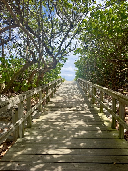 Beach Access   67 by JANIce