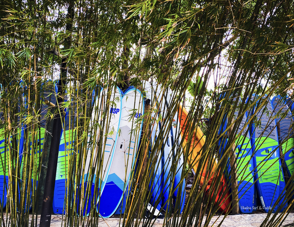 PaddleBoards by JANIce