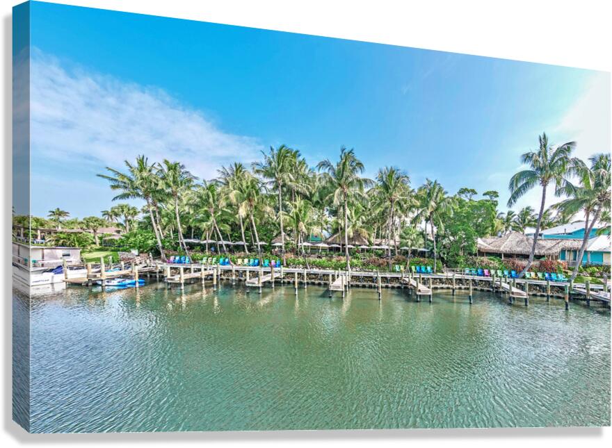 Guanabanas Canvas Print