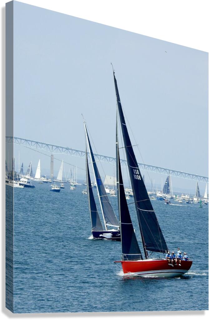 DSCN7071 Canvas Print
