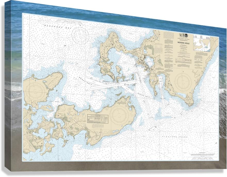 Woods Hole Map Canvas Print
