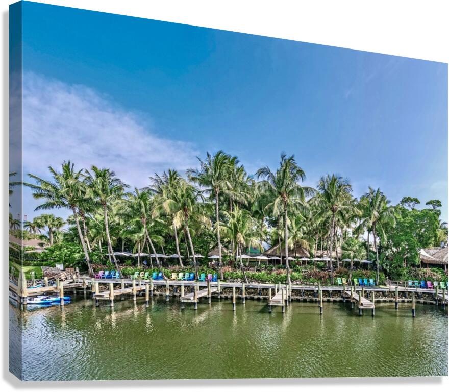 Guanabanas  Canvas Print