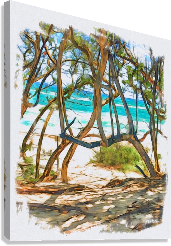 Beach Access 38 Canvas Print