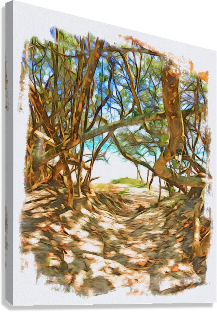 Beach Access 39 Canvas Print