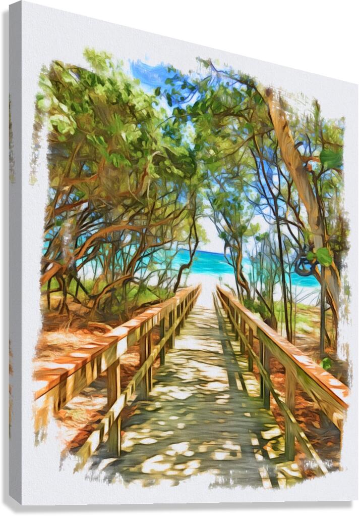 Beach Access 43 Canvas Print