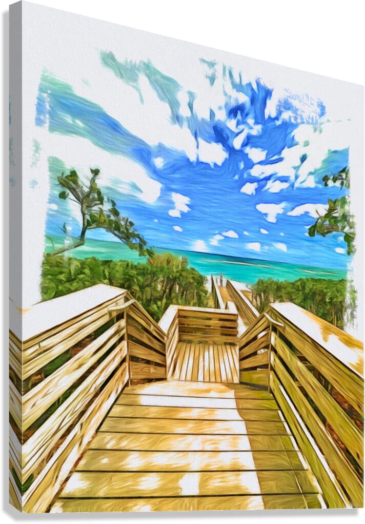 Beach Access 47 Canvas Print