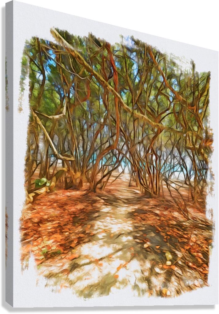 Beach Access 44 Canvas Print