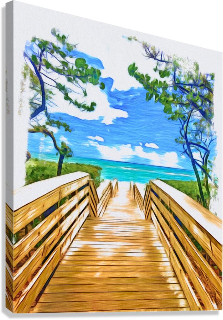 Beach Access 46 Canvas Print