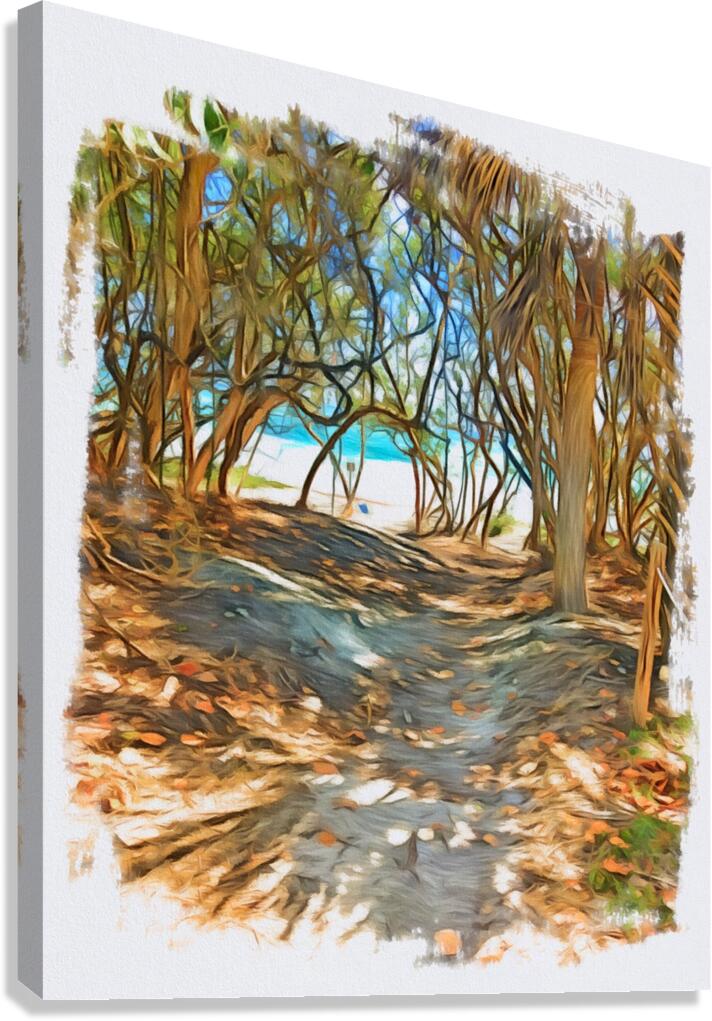 Beach Access 41 Canvas Print