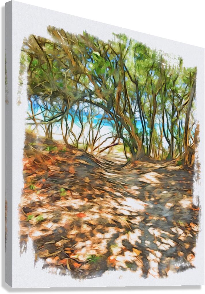 Beach Access 40 Canvas Print