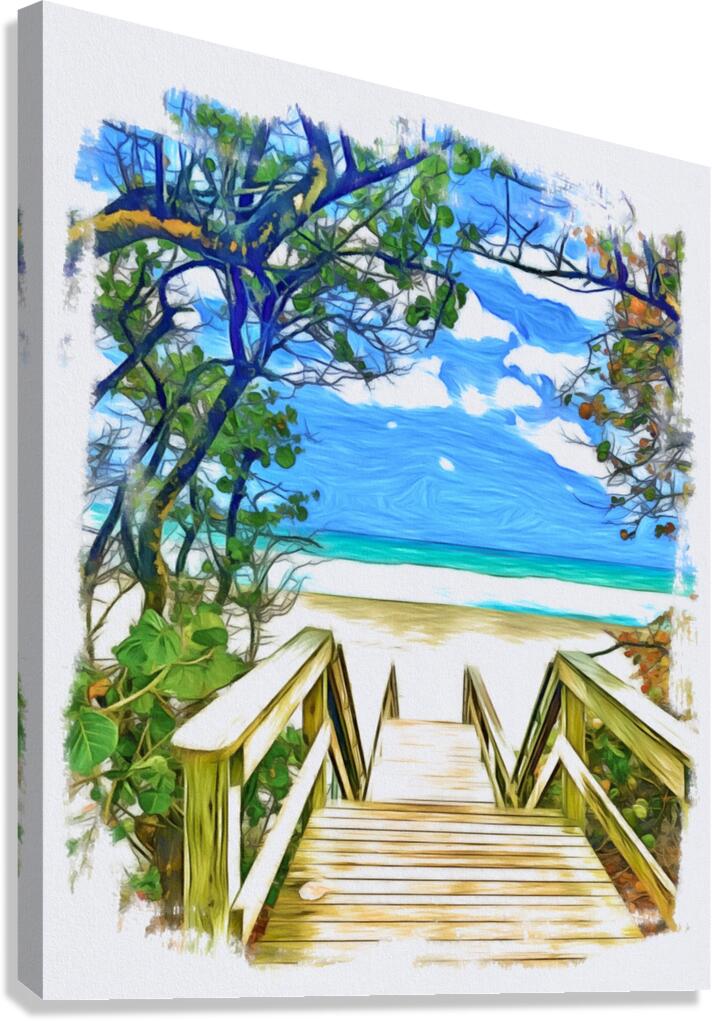 Beach Access 56 Canvas Print