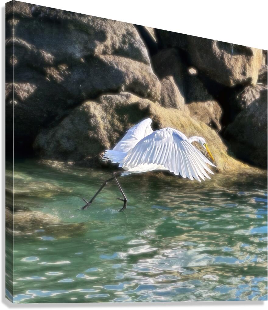 EGRET2 Canvas Print