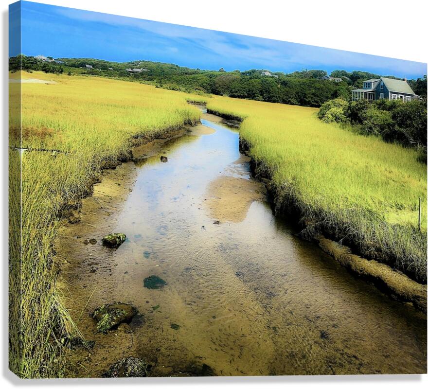 Marsh Canvas Print