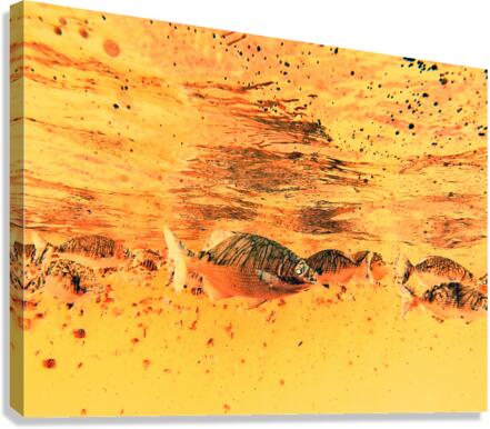 Fishies Canvas Print