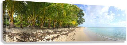 Bastimentos Beach Canvas Print