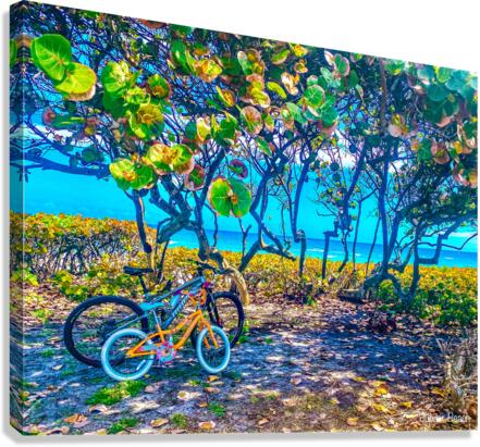JunoBikes Canvas Print