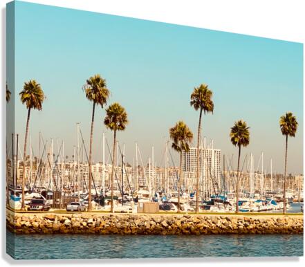 Cali Canvas Print