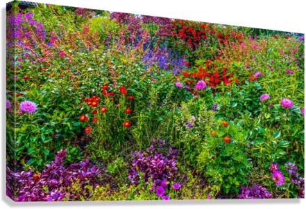 Wild Flowers Canvas Print