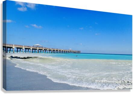 JunoPierRight Canvas Print