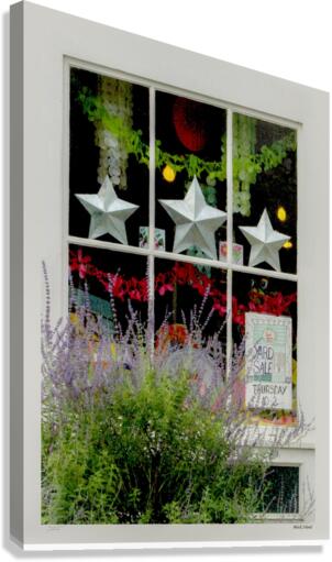 BIWINDOW Canvas Print