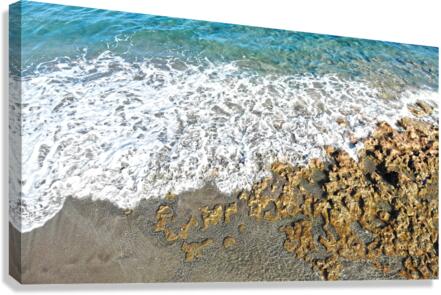 Coral Canvas Print