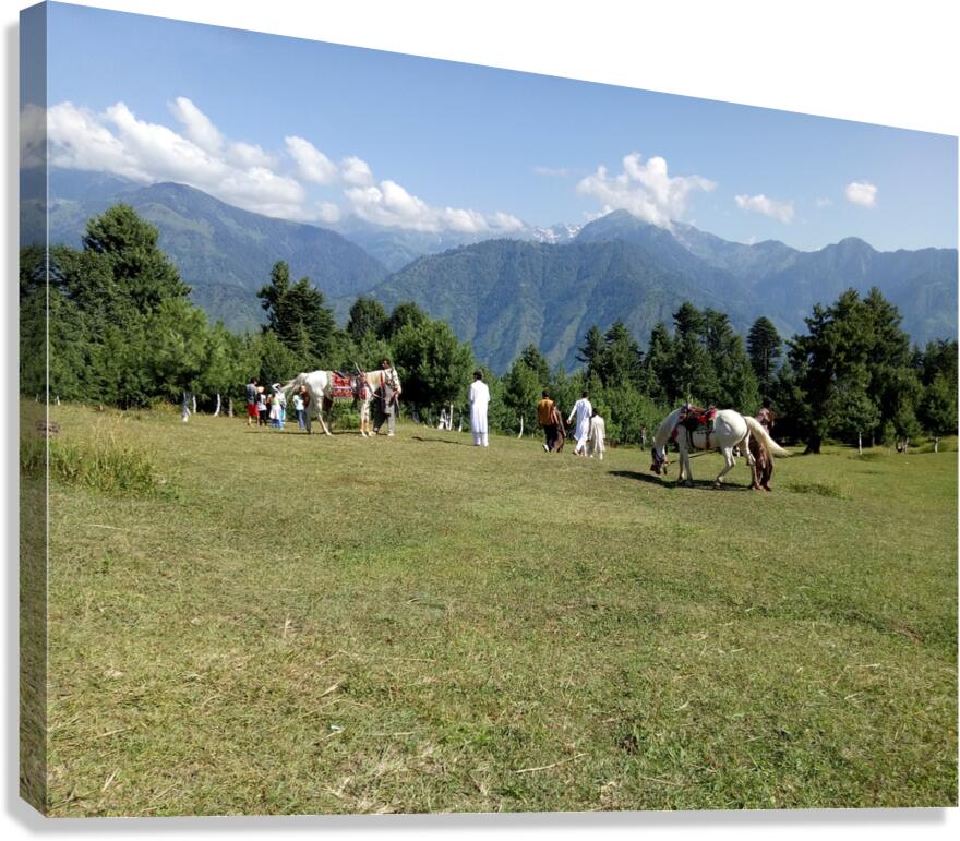 Summer sunny day is in mountain landscape. Canvas Print