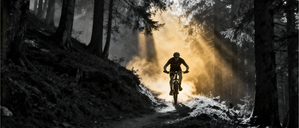 Into the Light — Forest Singletrack Descent