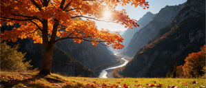Maple Canopy Over the River of Light