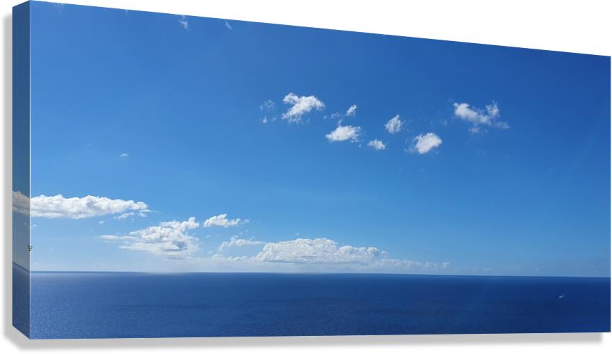 Blue Canvas Print