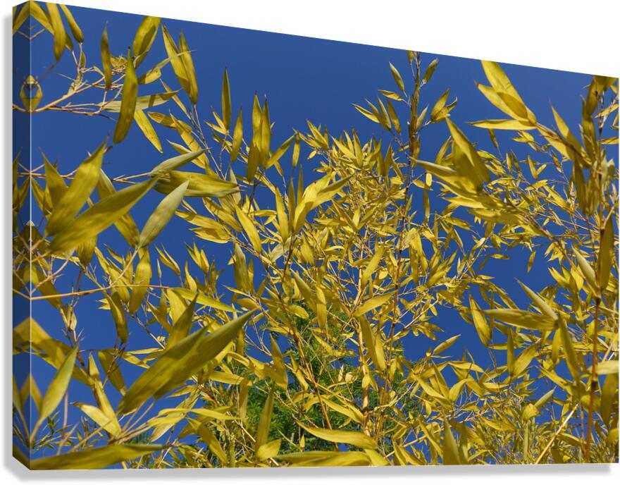 blend Canvas Print