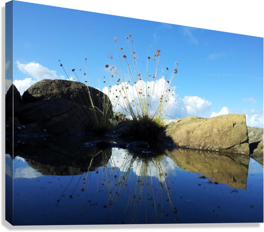 Dream puddle Canvas Print