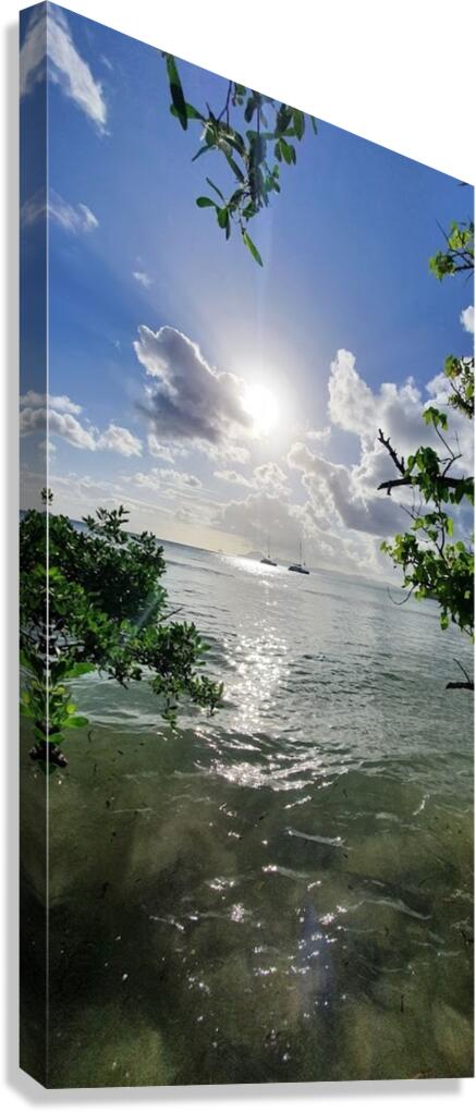 Escape dreams Canvas Print