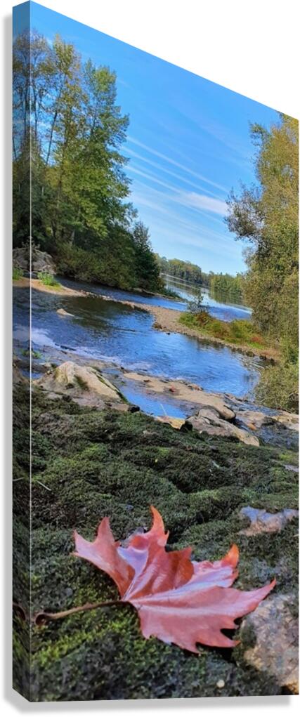 Early fall Canvas Print