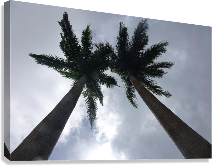 love Canvas Print