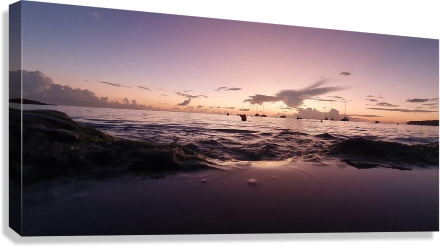 marine sweetness Canvas Print