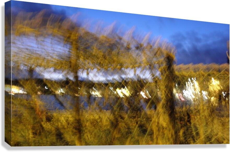imaginary dream Canvas Print