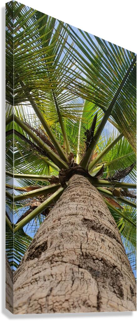 straight Canvas Print
