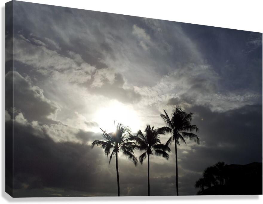 siblings Canvas Print