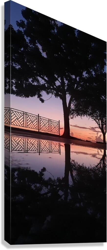 twilight stroll Canvas Print