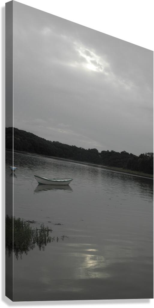 grayness Canvas Print
