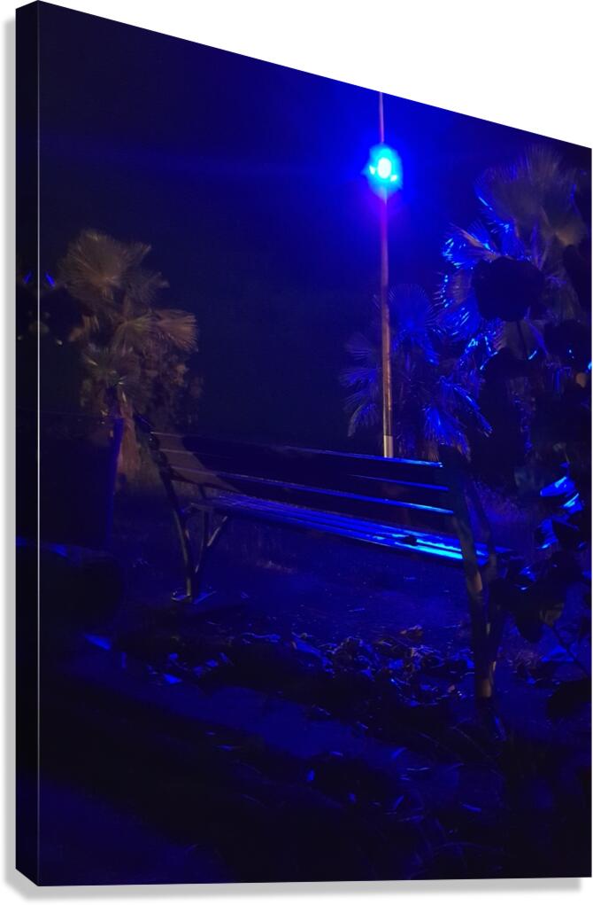 Blue night Canvas Print