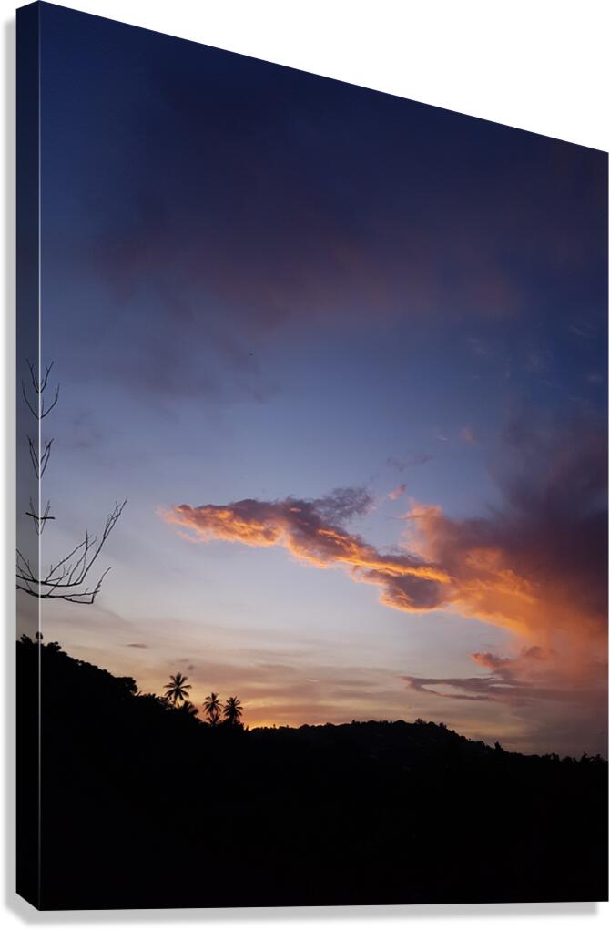 dragon at sunset Canvas Print